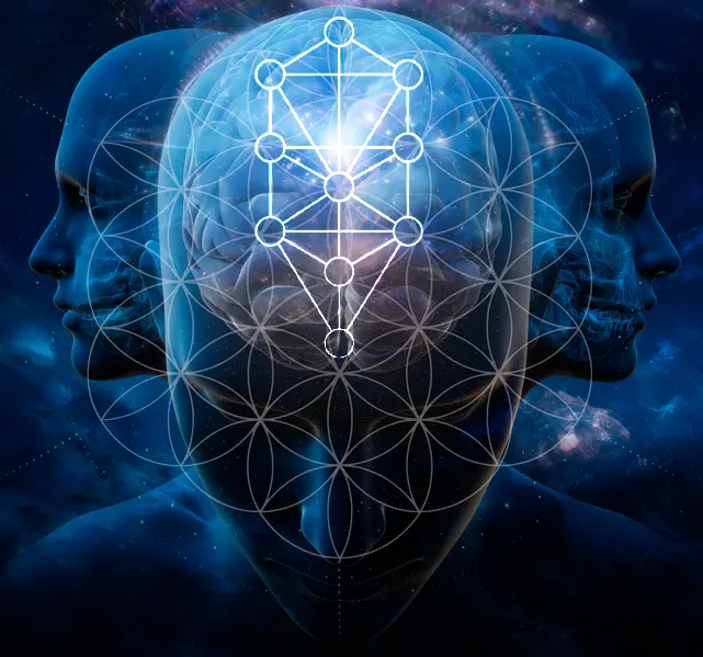 Tres cabezas de hombre que muestran el cerebro; dos cabezas están detrás y a un lado, una mirando a la derecha y la otra a la izquierda; la tercera mira hacia delante. En el cerebro es visible el árbol de la vida de la geometría sagrada.