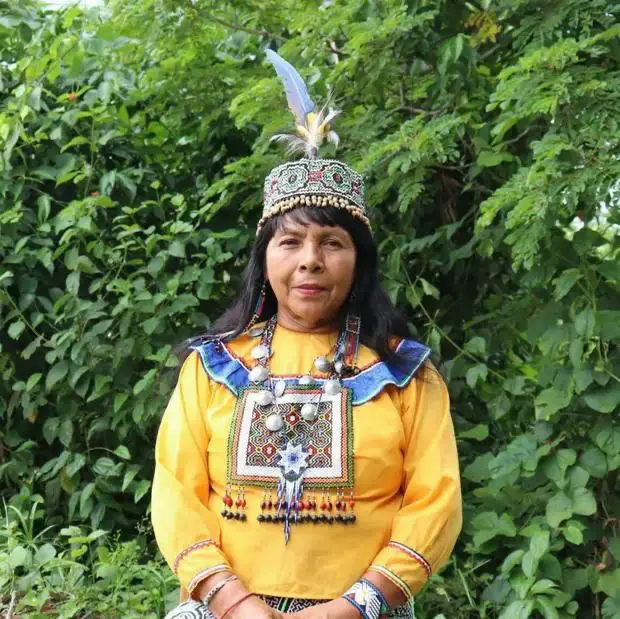 Maestra Elisa Vargas Fernández (Reshin Wesna) Para nuestras noches de Ayahuasca, tenemos el honor de recibir a Elisa Vargas Fernández, una curandera shipibo-konibo cuyo nombre shipibo es Reshin Wesna.