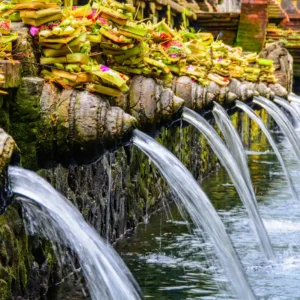 Yoga and Balinese Cultural Experience phase 2